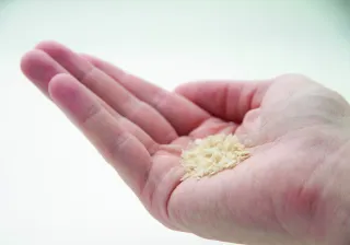 A photo of a hand holding a small amount of a granular prowder.