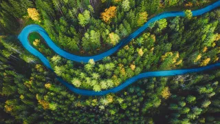 An aerial photo of a forest that has a winding road running through it