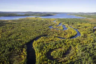 An aerial photo of a forest with a river running through it, ending in a lake