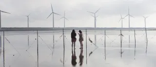 People standing on wet sand with wind mills in the background