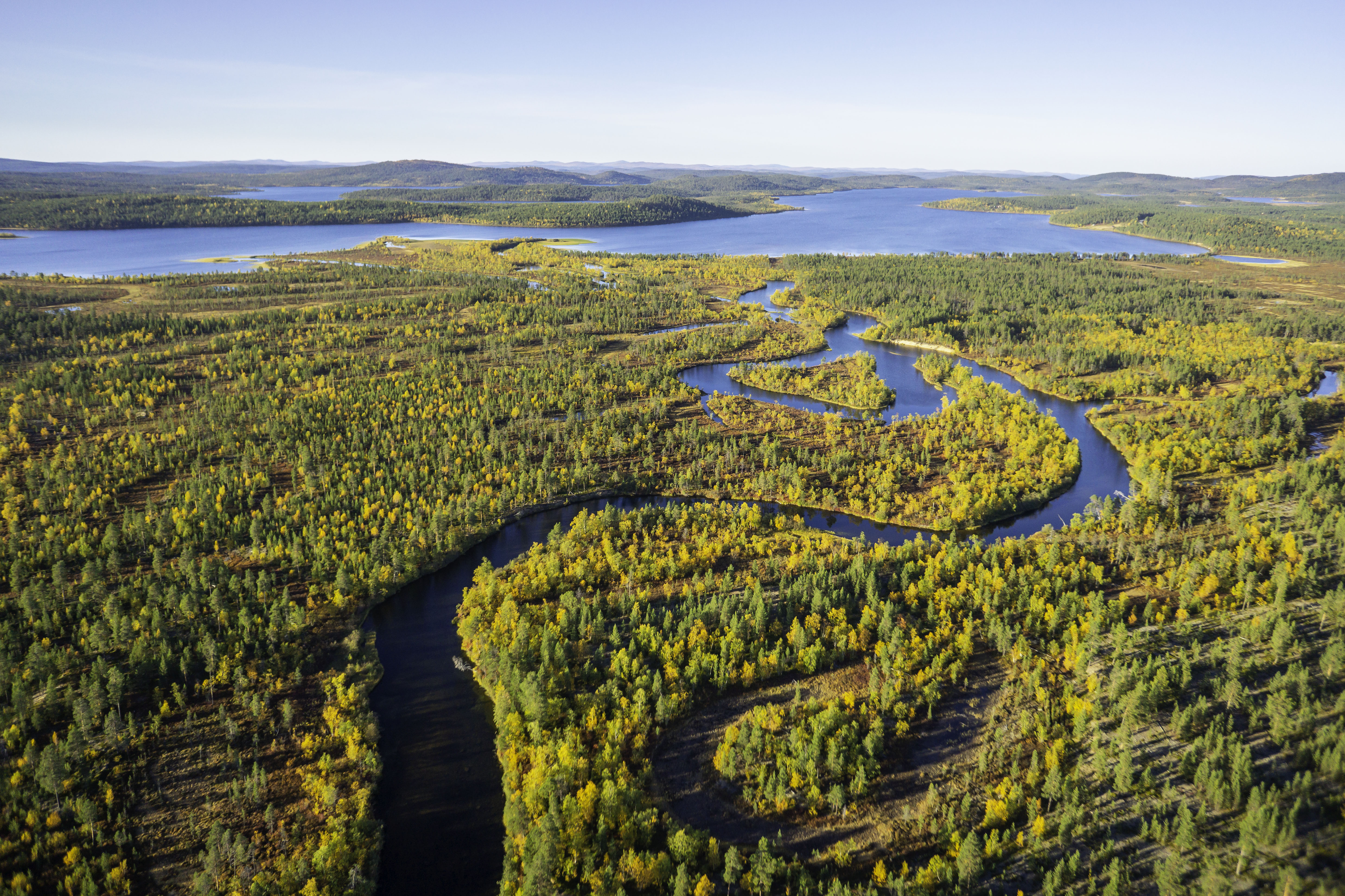 An aerial photo of a forest with a river running through it, ending in a lake