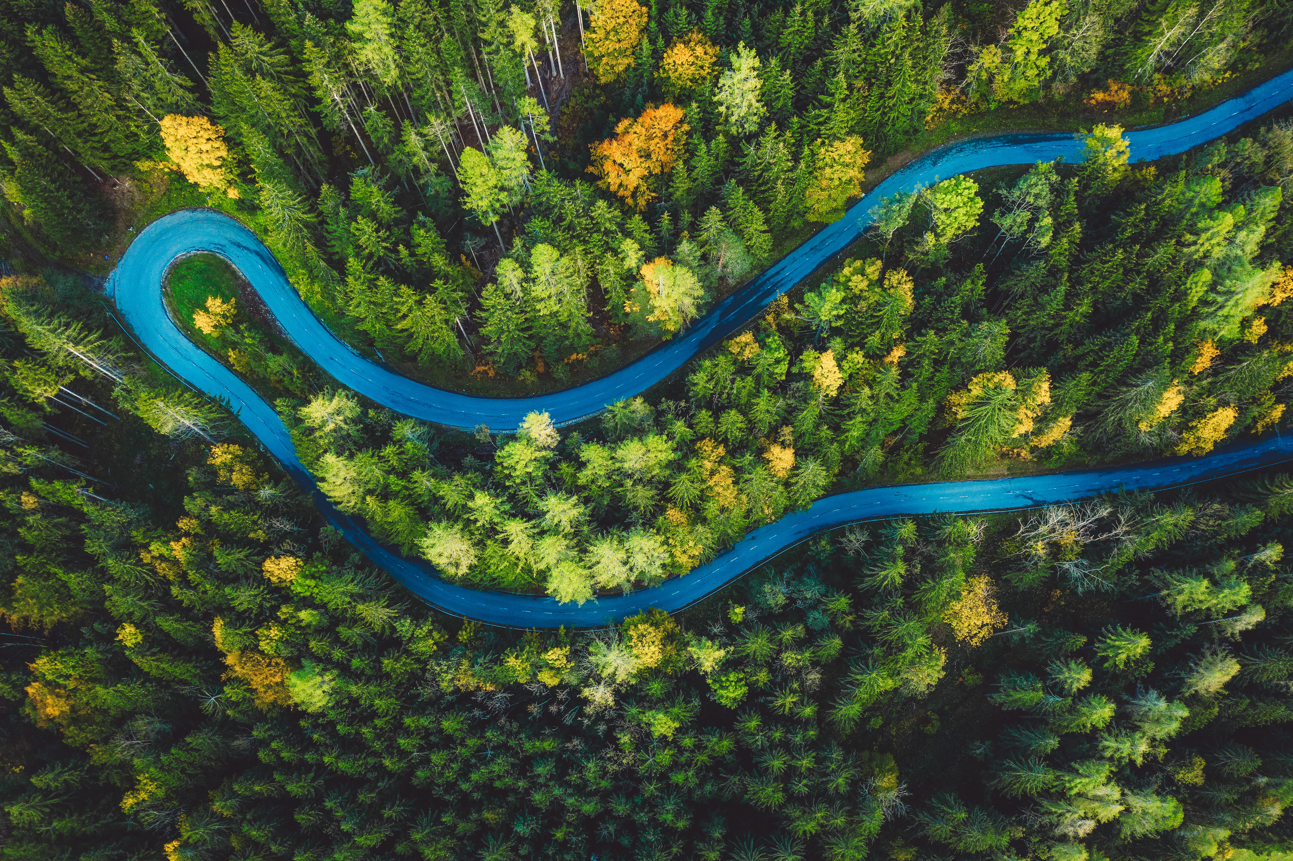 An aerial photo of a forest that has a winding road running through it