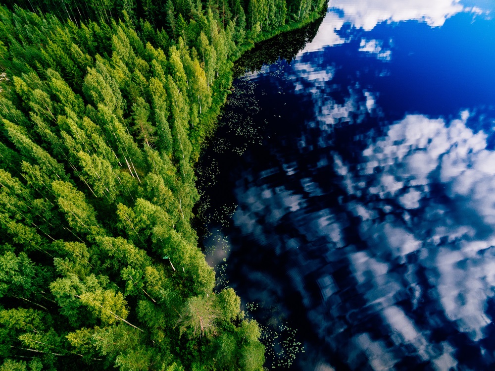A forest and lake reflecting sky and clouds as shot from above.