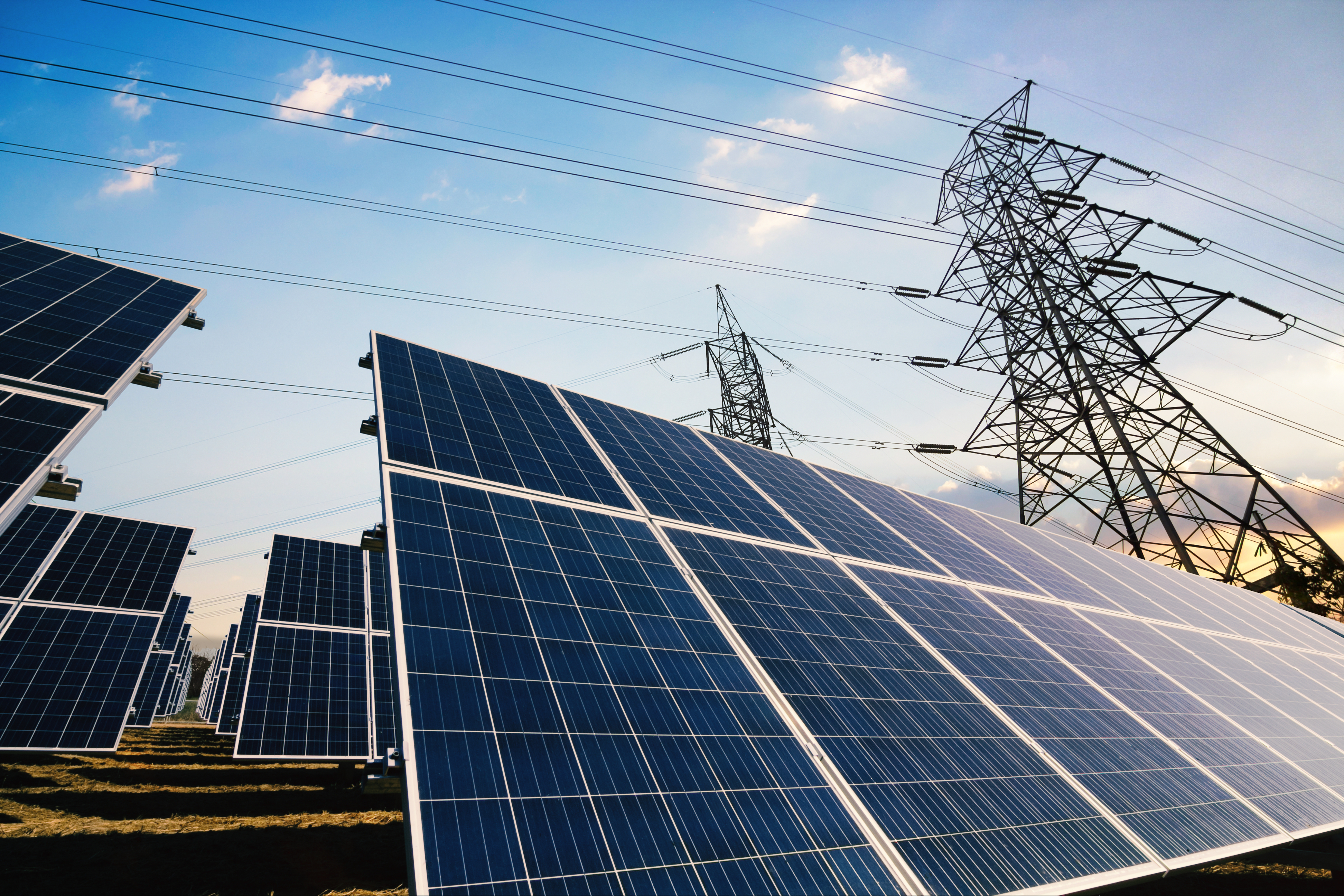 A photo of solar panels with power lines in the background.