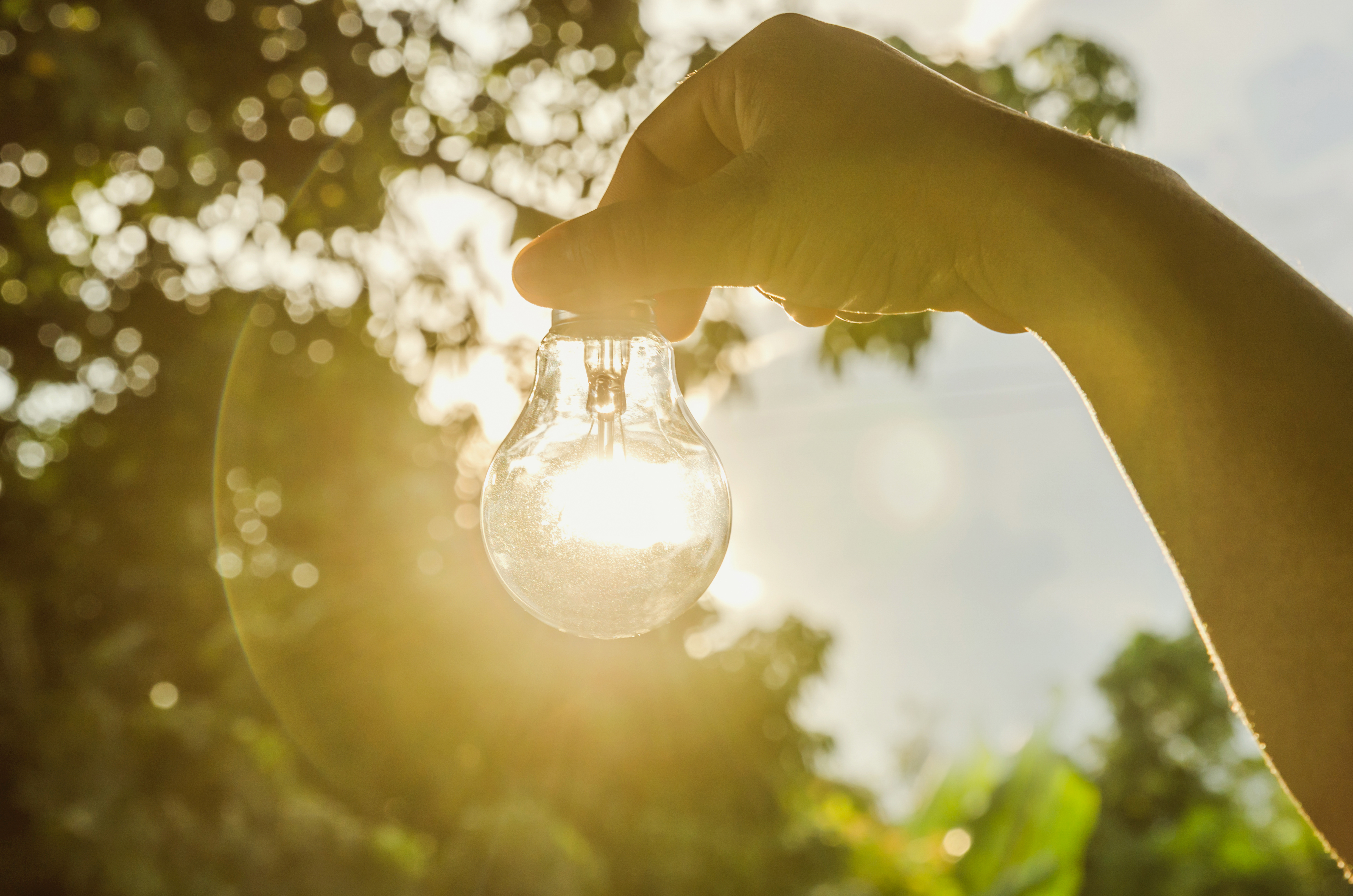 vtt-electricity-energy-lightbulb Photo of a hand holding a lightbulb in front of a sunset, symbolising clean energy.