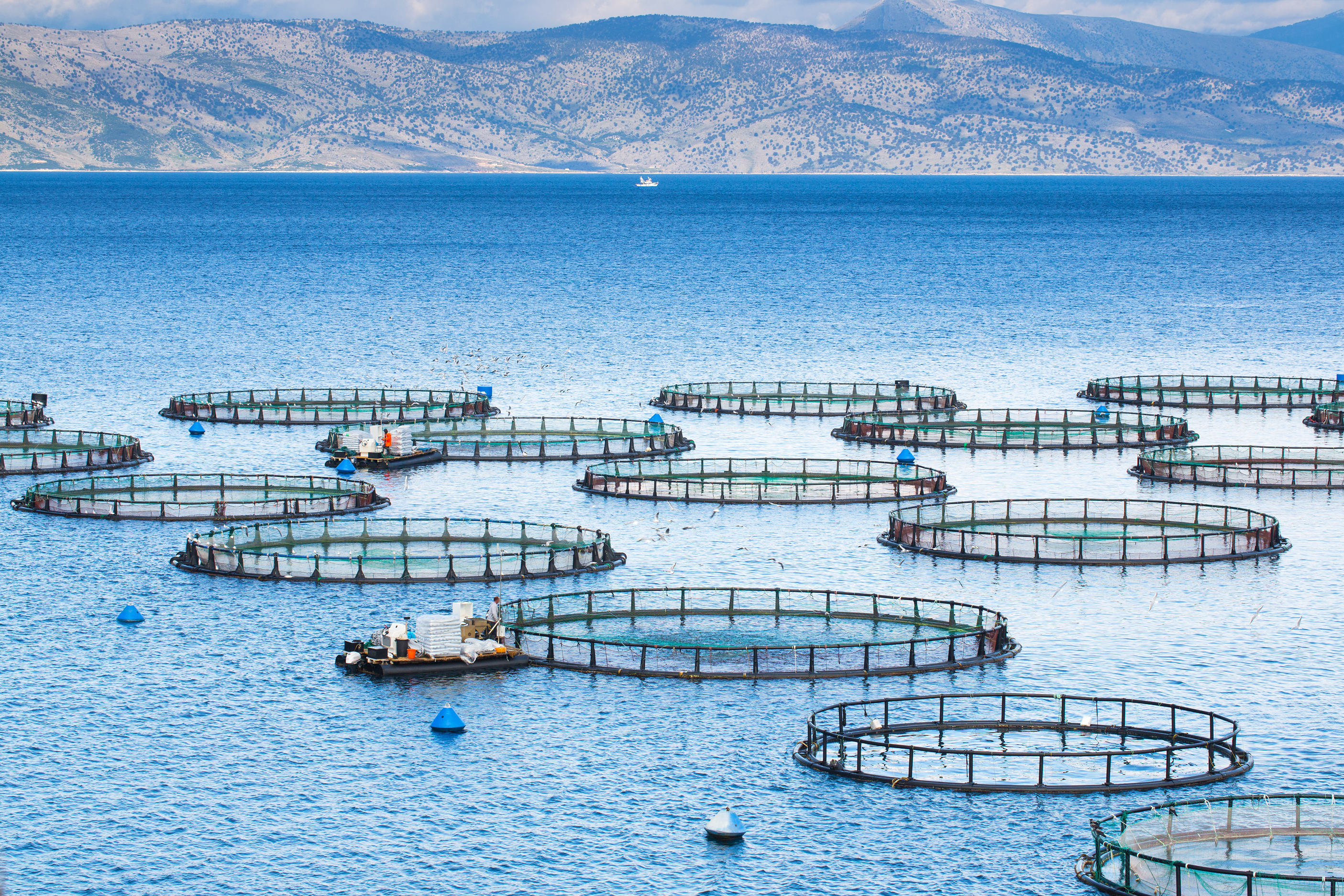 shutterstock_water_with_circular_barriers.jpg water with circular barriers