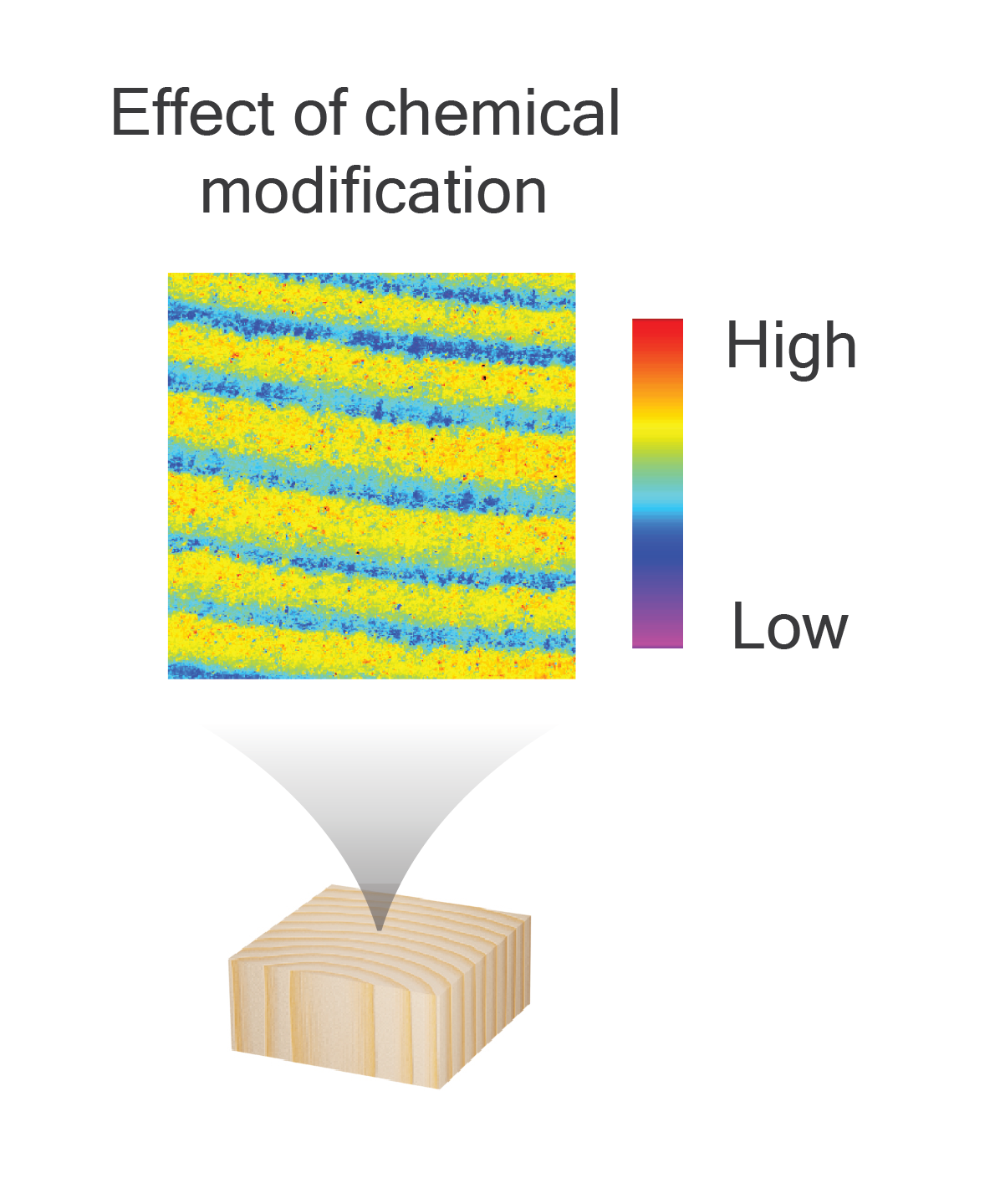infographic on effect of chemical modification