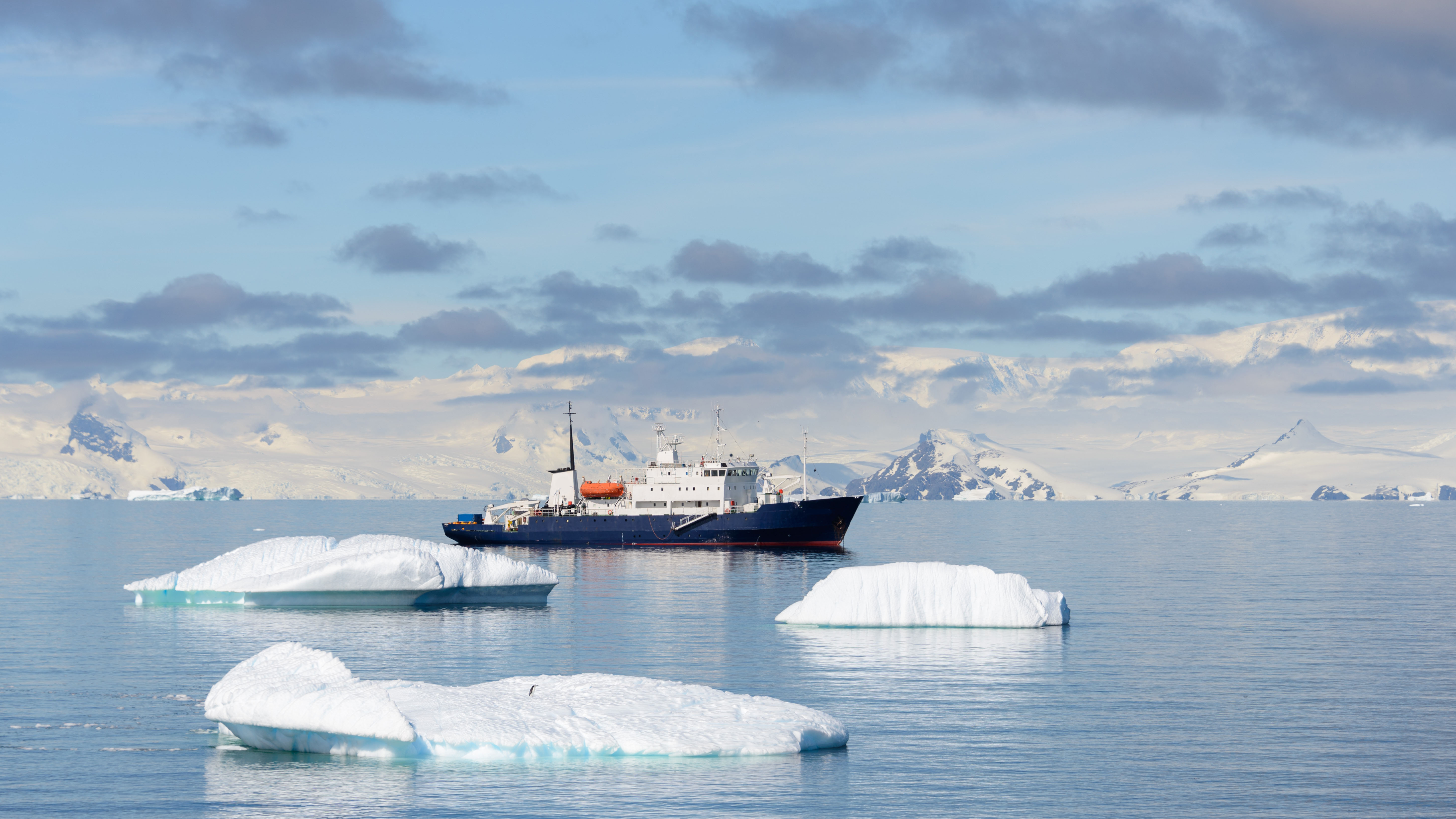 Photo of chip navigating through icebergs in the Arctic sea