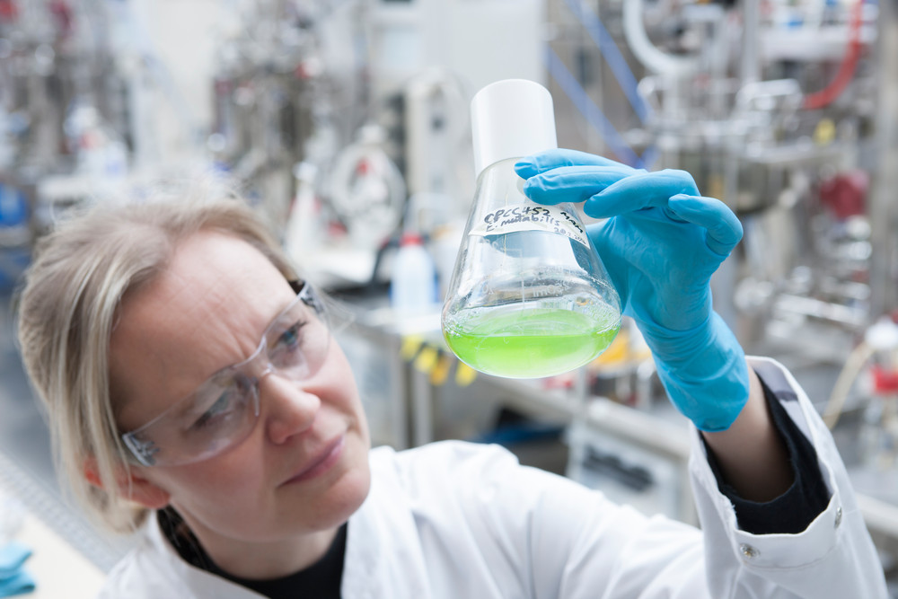Laboratory fermentation