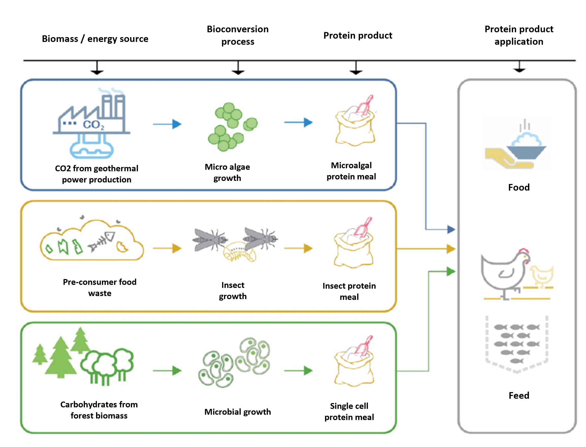 NextGenProteins process