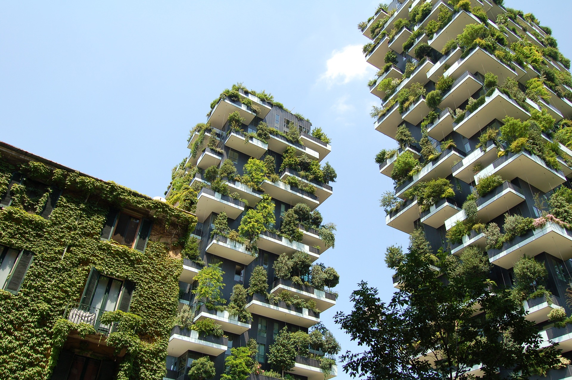 Green architecture