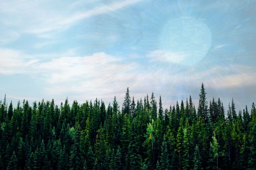 FTEP_forestry_platform_project_vtt.jpg FTEP_forestry_platform_project