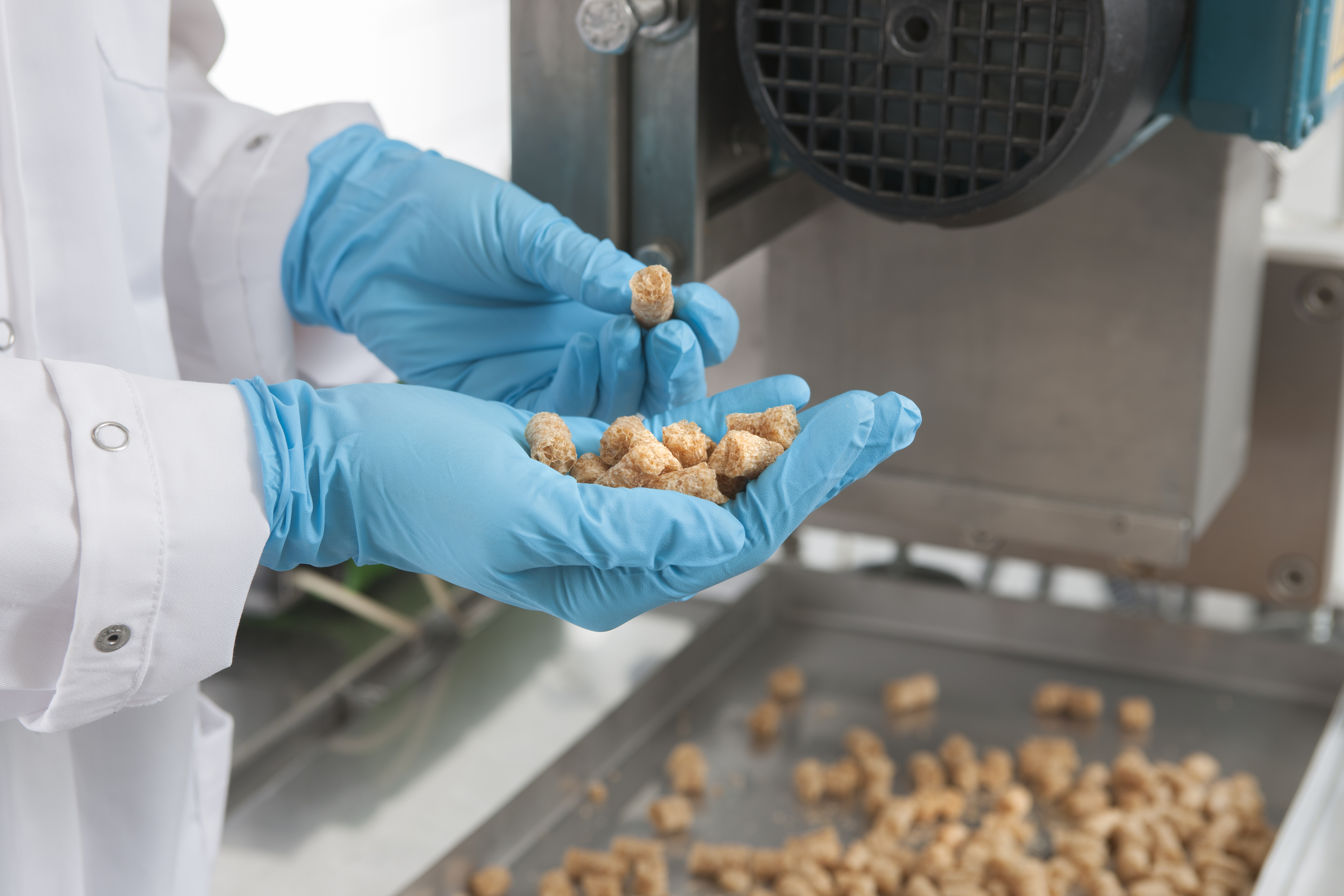 Extrusion enables the production of meat-like alternative meat products