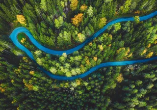 An aerial photo of a forest that has a winding road running through it