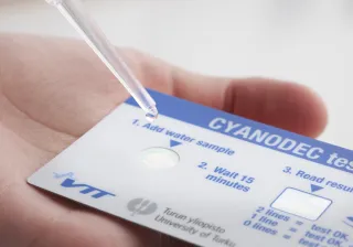 Water being dropped into test field with a pipette onto test for detecting blue green algae toxins