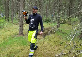 mies mittaa metsän arvoa
