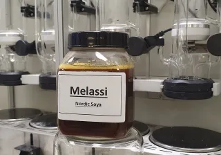 Jar of molasses