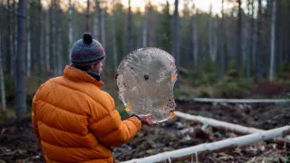 A man is lifting á round piece of ice and looking through it in a forest