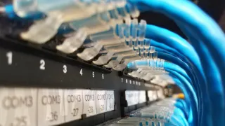 Close up of plugs plugged into a network router