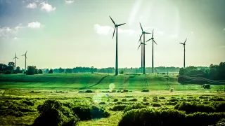 Windmills in lush green landscape