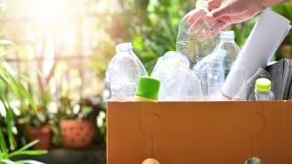 Hand inserting plastic bottle into recyckling box in home with green plants in the background