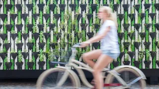 A blurry photo of a woman riding a bike past a vertical farm wall