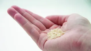 A photo of a hand holding a small amount of a granular prowder.