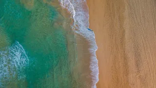 Sea