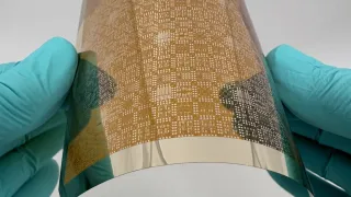 flexible printed electronics in a researcher's hands