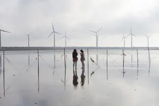 People standing on wet sand with wind mills in the background