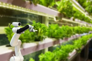A photo of a robot holding a head of lettuce in a futuristic greenhouse.