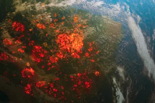 Aerial image of Forest fires in the Amazon