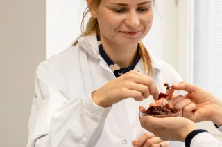 meat alternatives vtt scientist testing