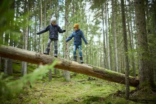 illustrative photo: children playing in a forest