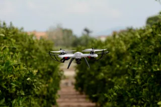 drooni monitoroi viljelmää
