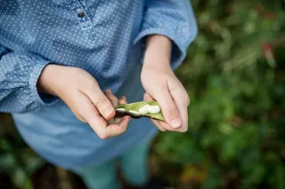 woman holding white beans