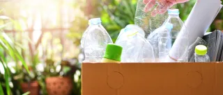 Hand inserting plastic bottle into recyckling box in home with green plants in the background