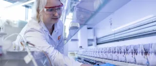a scientist operating an Ambr 250 bioreactor