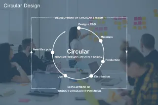 Circular Design kaavio