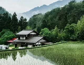 countryside field with crops growing with japanese building in the background