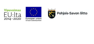 DigiTerve Savo EU logot