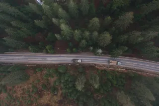 cars on a forest road