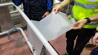 Researcher examining woodbased barrier film