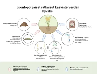 Luontopohjaiset ratkaisut kasvinterveyden hyväksi