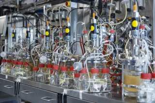 Smallscale bioreactors