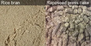 Rice bran and rapeseed press cake